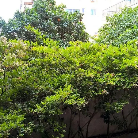 Minimal Studio In Paleo Faliro Athens Exterior photo